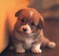 Cute Picture Found!